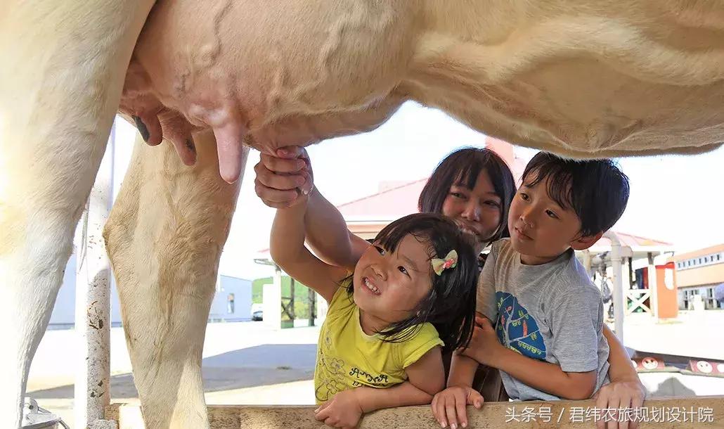 亲子牧场的标杆，看看这家年入2亿的母亲牧场是怎么做到的
