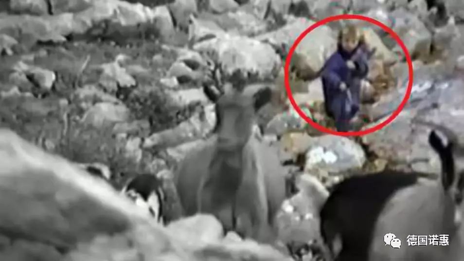 愿你有钢铁般的意志,愿你有美好的人生