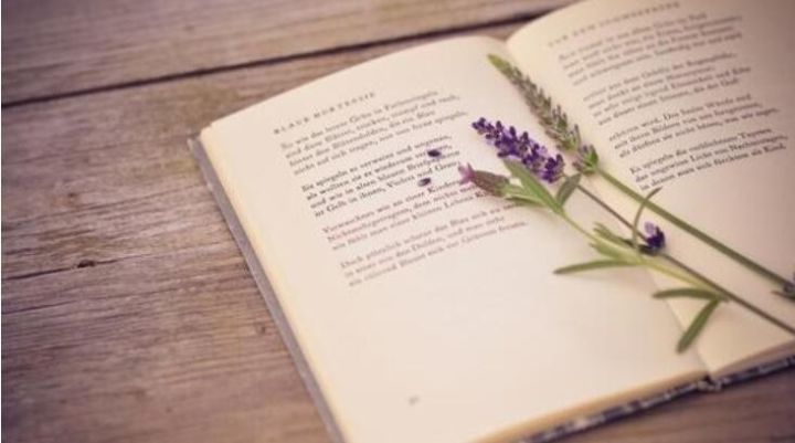 代购毒品行为定性应区分具体情形,代购毒品和居间买卖毒品的区别