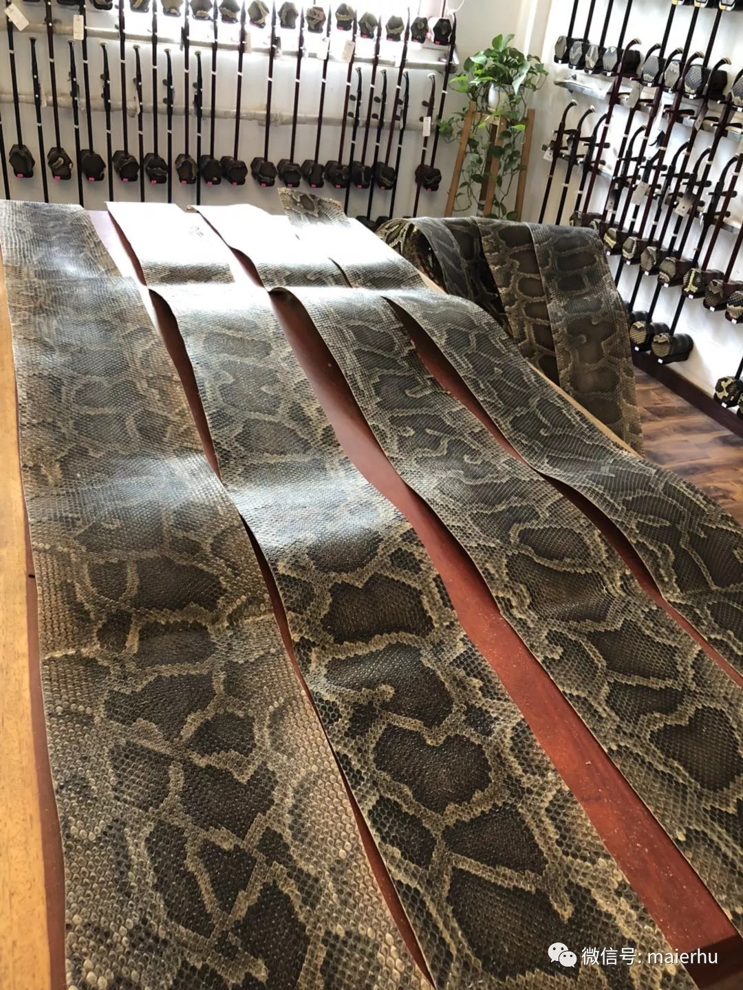 购买二胡怎样挑选,购买二胡