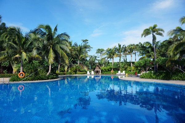 晒黑攻略,晒黑指南