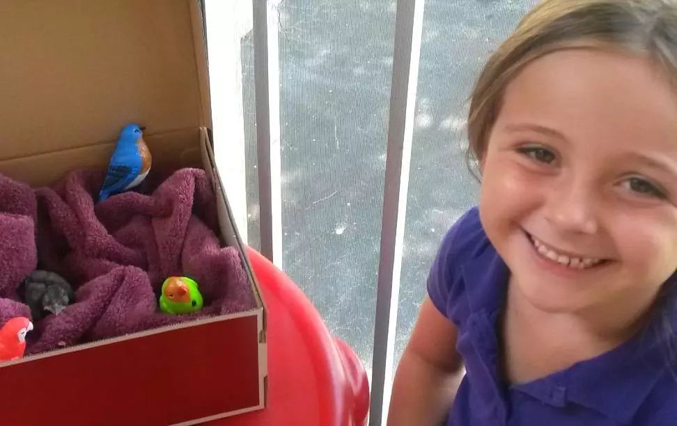 万物皆有灵救了蛇王一命,万物皆有灵救了一只狼崽