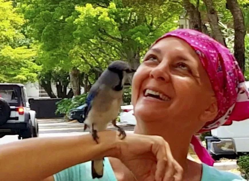 万物皆有灵救了蛇王一命,万物皆有灵救了一只狼崽