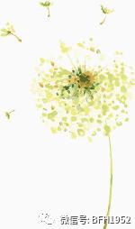 北京友谊医院康复理疗,北京友谊医院中药