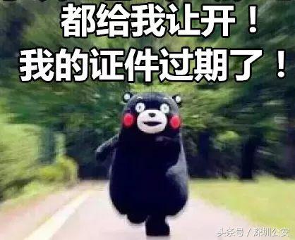 一个动作让你愧疚一辈子,一个动作让你后悔一生