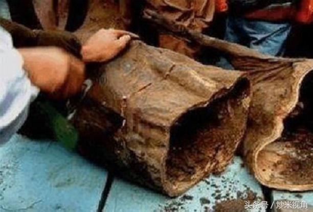 丧尸病毒如果真的爆发该如何生存,如果世界上真有丧尸该怎么办