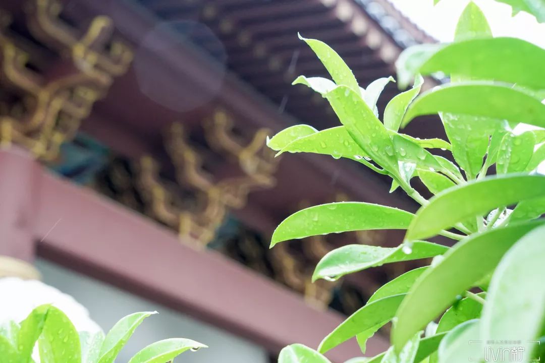 克罗地亚南宁观音寺,克罗地亚队南宁拜菩萨