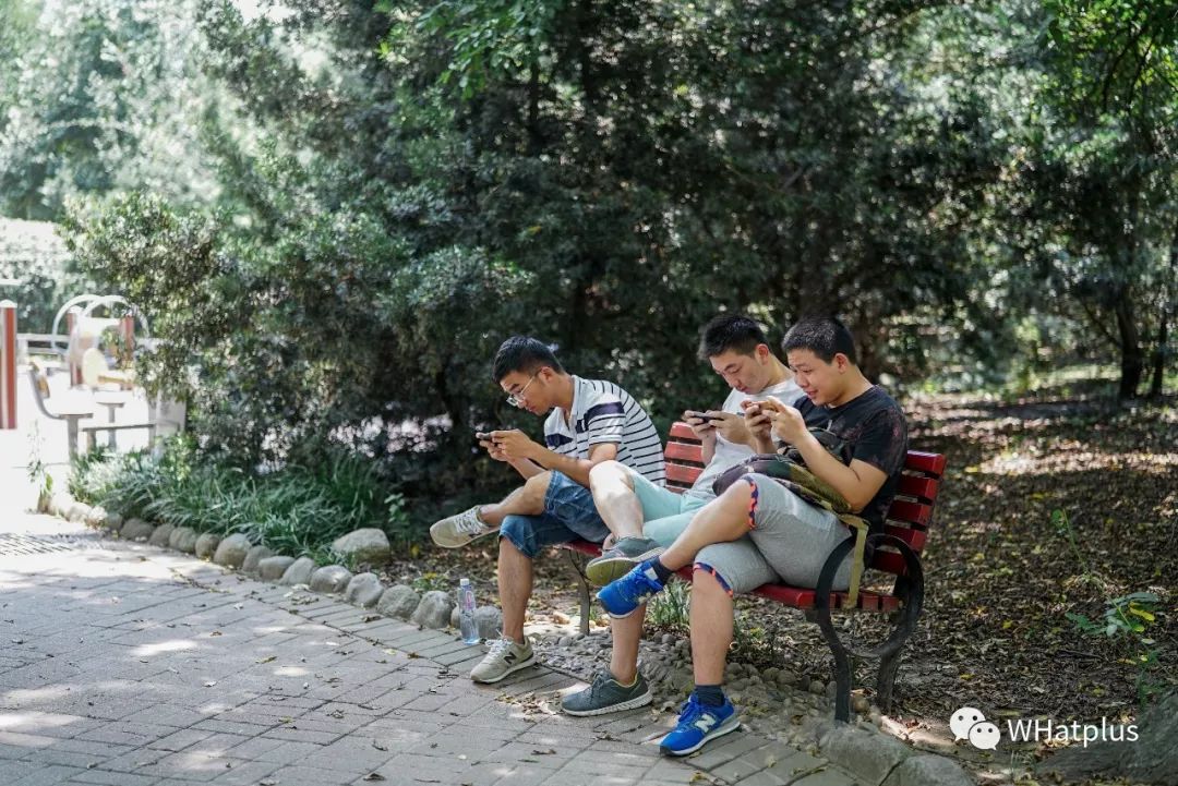 水调歌头江阳,水调歌头游乐园