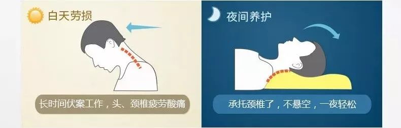 泰国天然乳胶枕专场99包邮,泰国正品保真乳胶枕