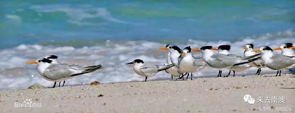 这座小岛究竟隐藏了多少秘密,一座鲜为人知的隐藏小岛