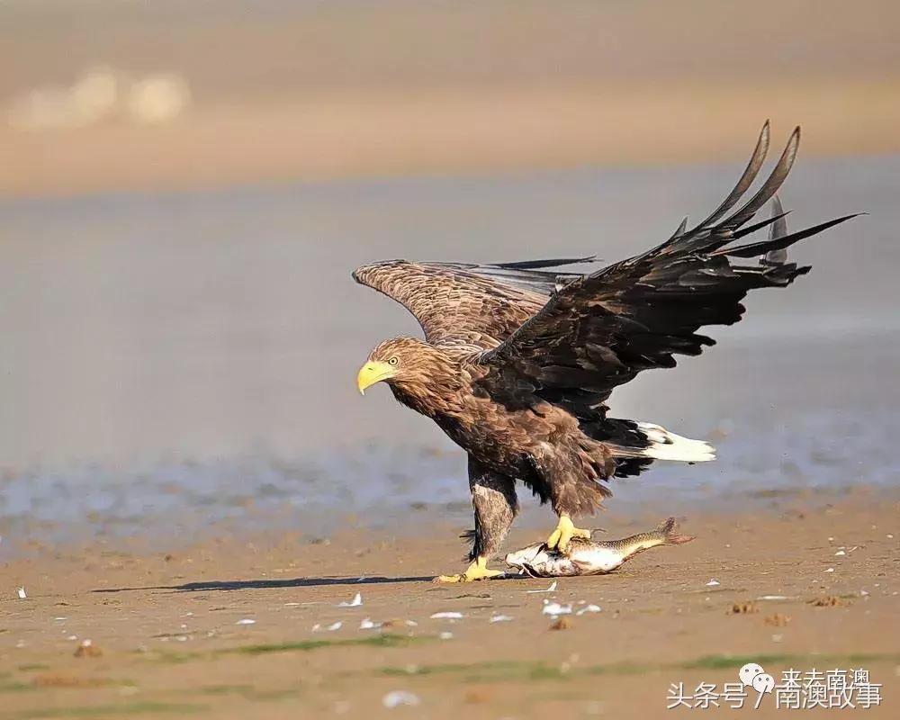 这座小岛究竟隐藏了多少秘密,一座鲜为人知的隐藏小岛