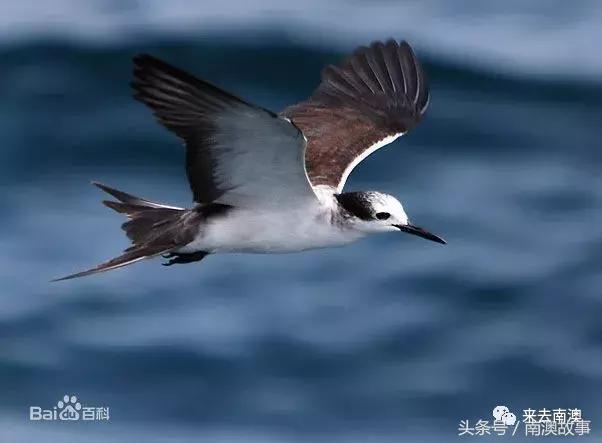 这座小岛究竟隐藏了多少秘密,一座鲜为人知的隐藏小岛