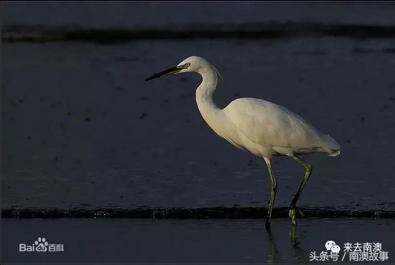 这座小岛究竟隐藏了多少秘密,一座鲜为人知的隐藏小岛