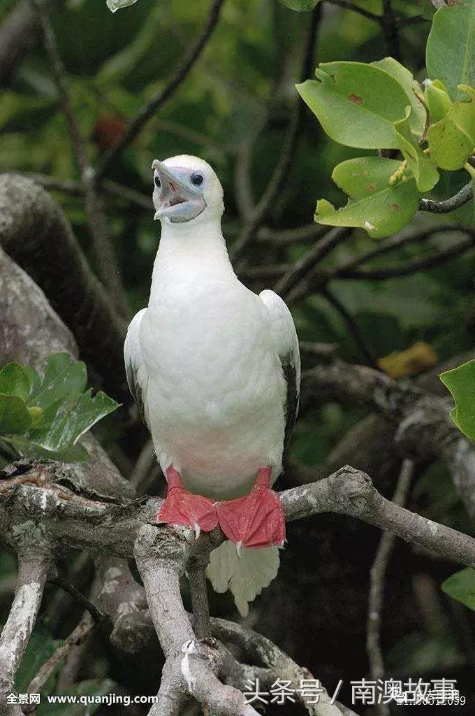 这座小岛究竟隐藏了多少秘密,一座鲜为人知的隐藏小岛