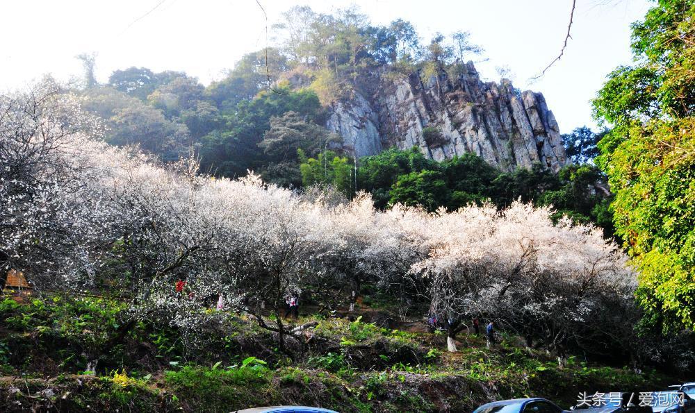 广州石门国家森林公园景点,广州山谷好玩的地方