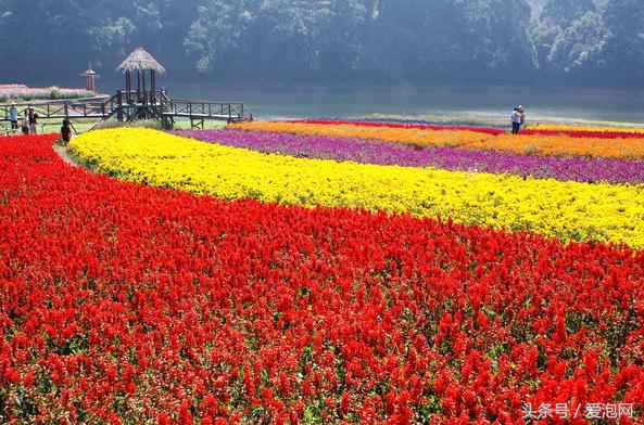 广州石门国家森林公园景点,广州山谷好玩的地方