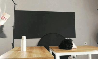 法国队夺冠经历,法国队夺冠反应