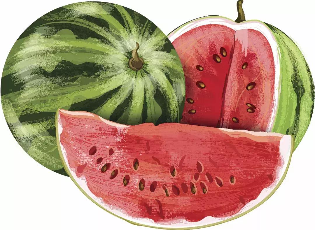 三伏天是什么时候入伏几月几号,三伏天是几月几号2023出伏