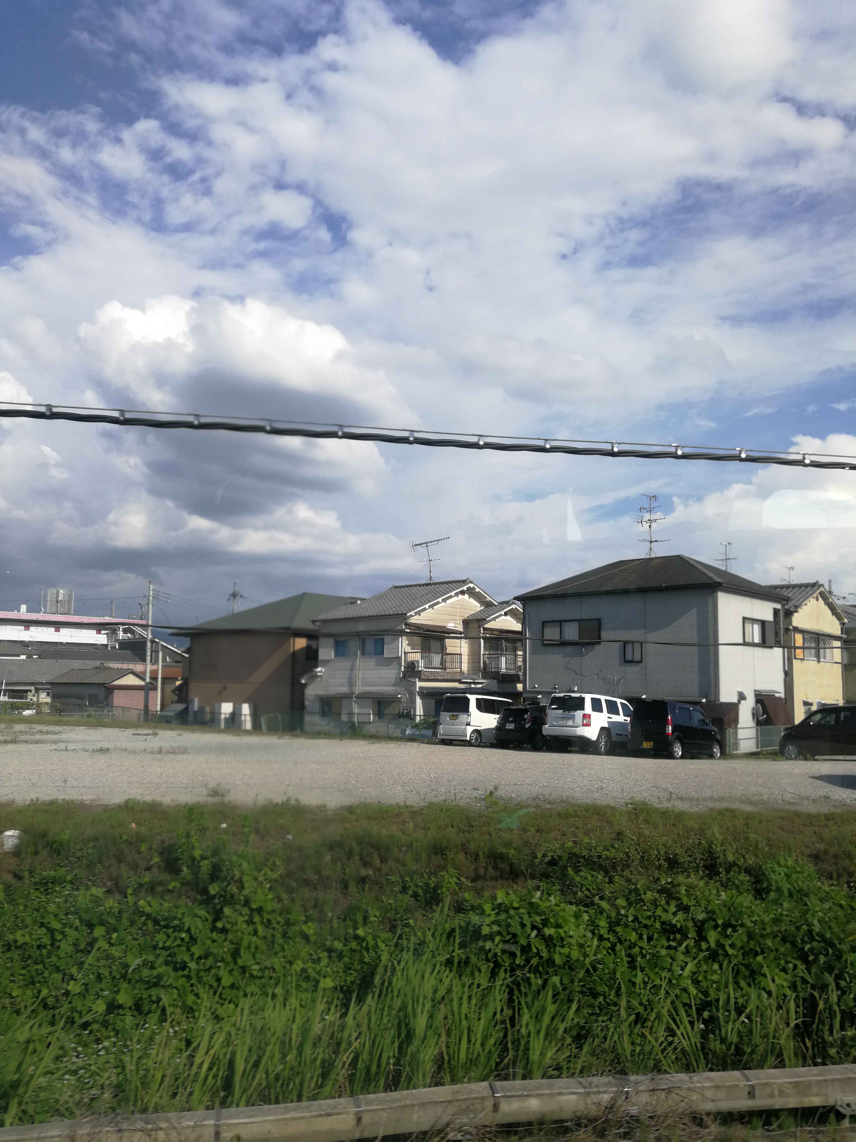 日本奈良亲子旅拍,日本游奈良小鹿