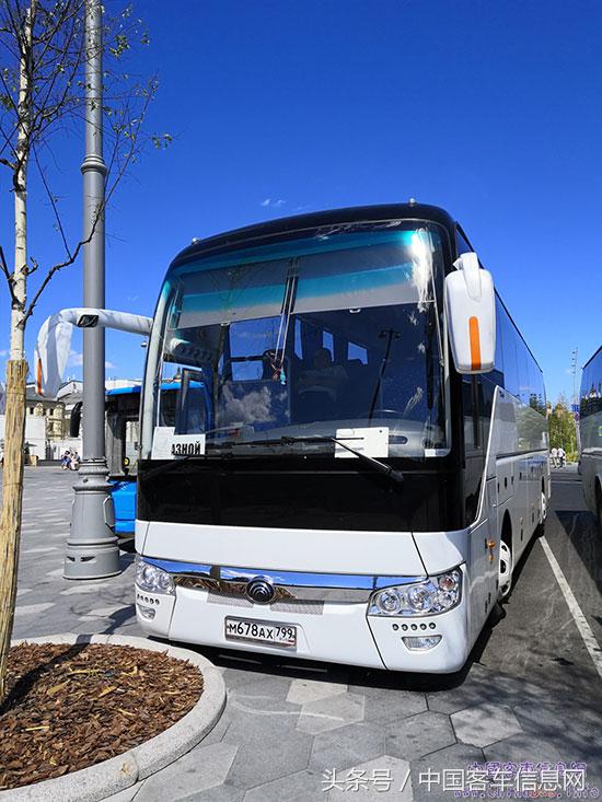 世界杯2018都有哪些队,2018世界杯的惊天秘密