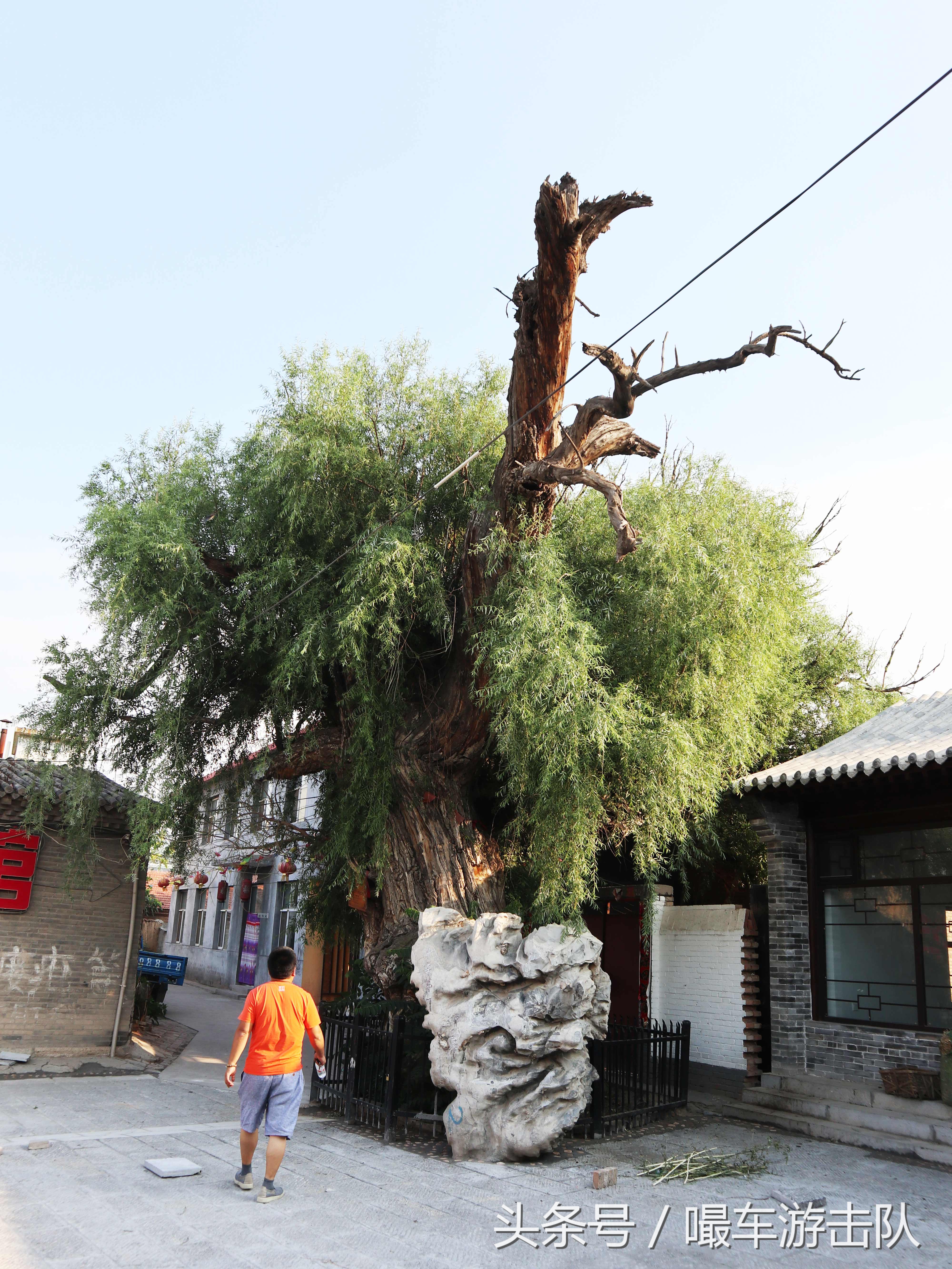 蔚县古城历史,张家口蔚县古城简介