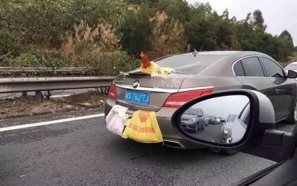 自驾旅行后备箱睡车神器,后备箱自驾旅行神器