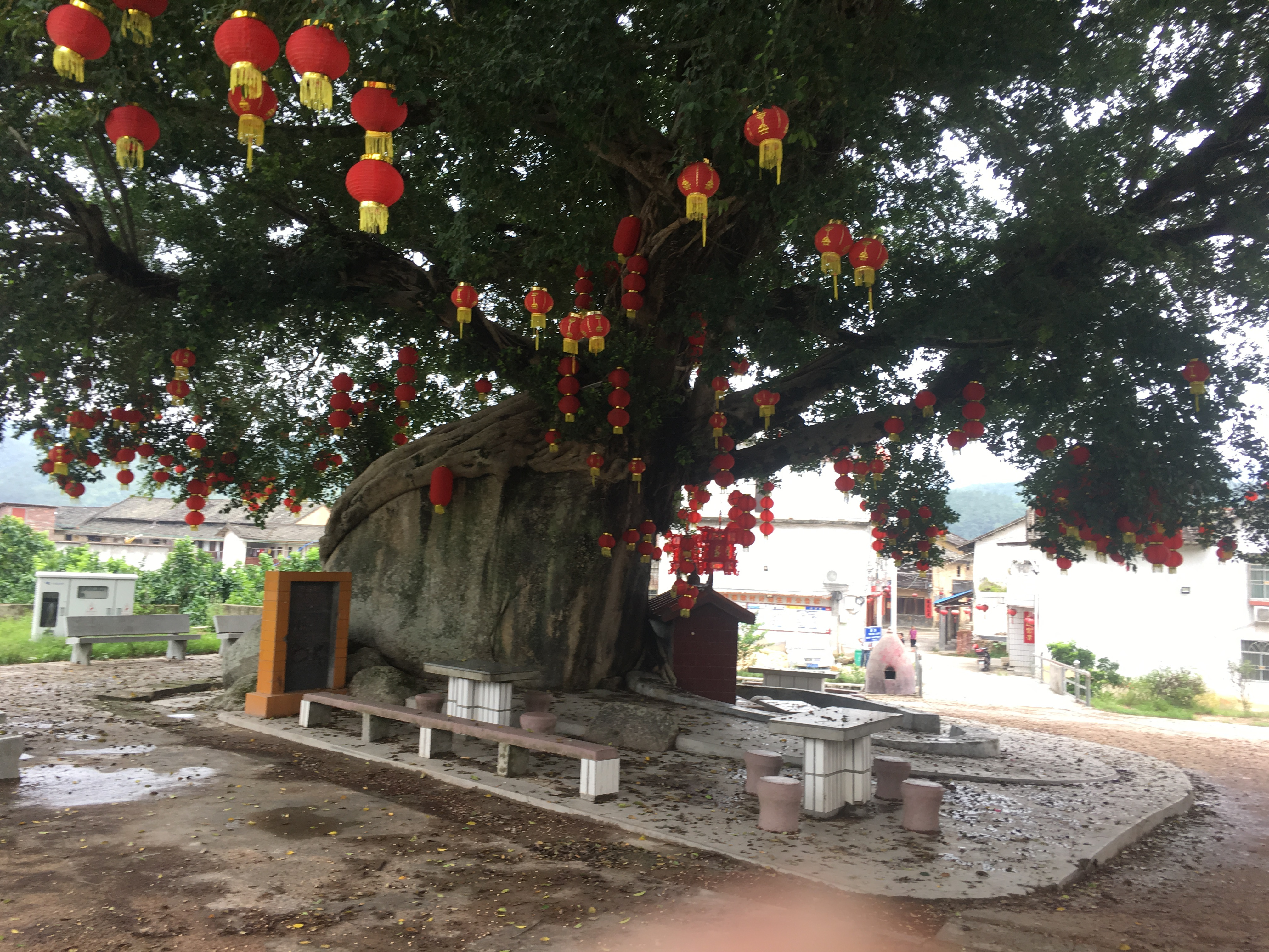 鍔卞織鎰熶汉鍌唱鐢靛奖鎼炵瑧,鎼炵瑧鍔卞織鎰熶汉鐢靛奖