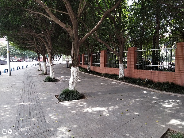 海信ai测评,海信ai画质