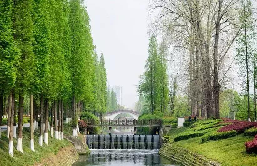 成都公园社区最新规划,成都高新区公园推荐