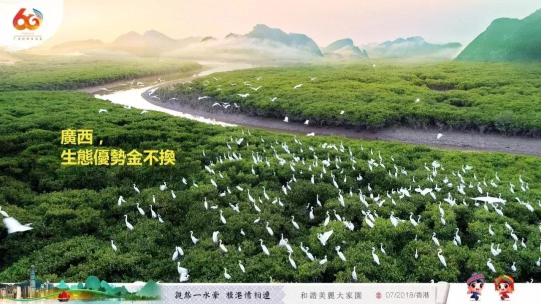 广西代表团来到深圳,广西代表团赴港澳行