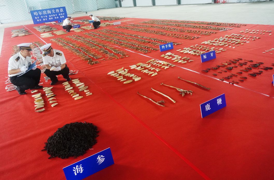 一车发霉的大豆竟“值”1.06亿！哈尔滨查获特大*私走**案