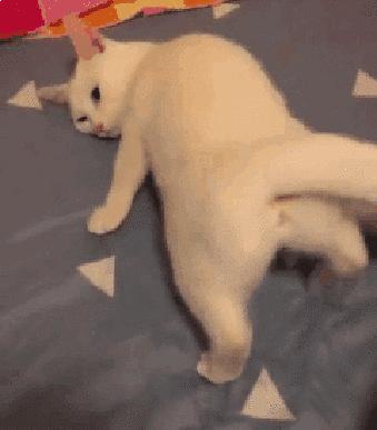 美臀杀，我只服“许晴趴”！