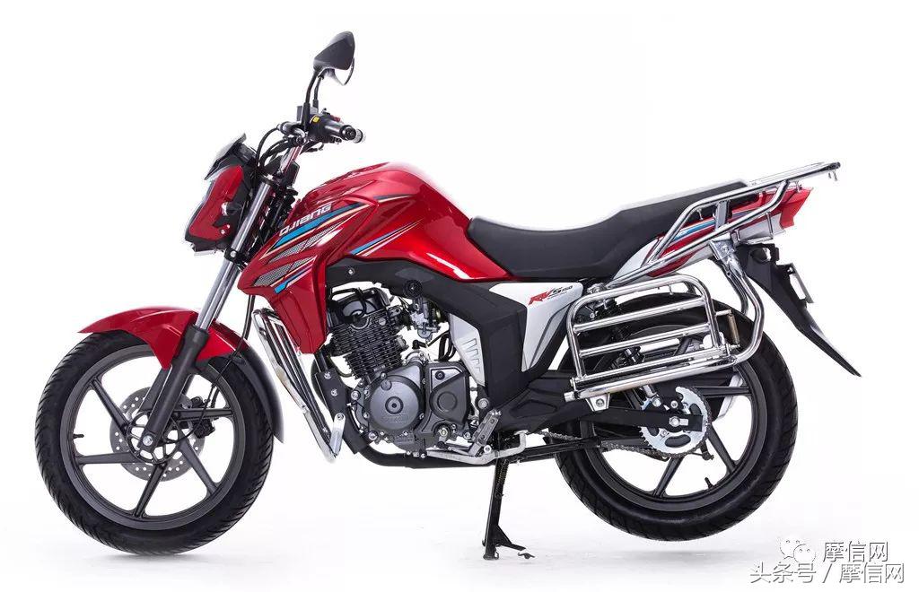 钱江龙御龙猛龙飞龙哪个好,猛龙御龙钱江龙