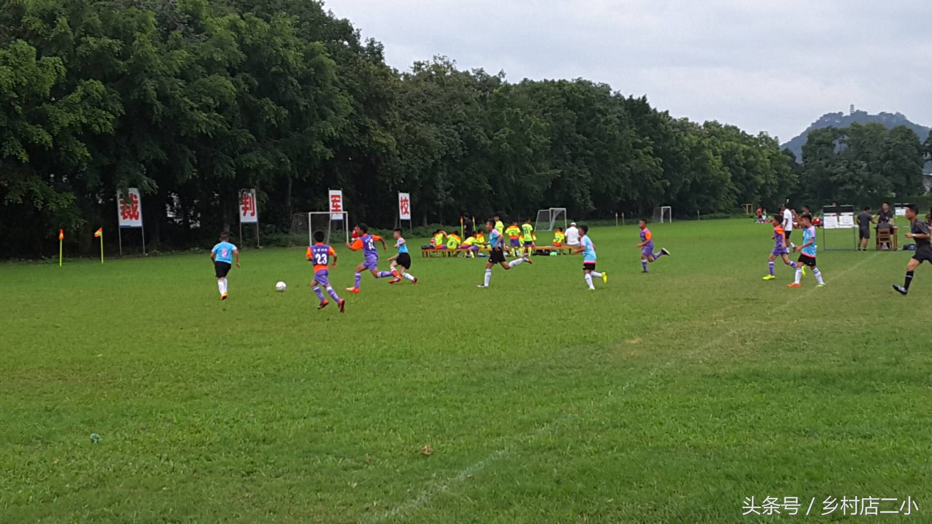 今年一共多少支足球队参加世界杯,2024广西梧州足球比赛