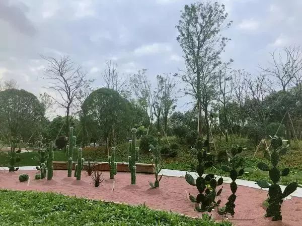 最近很火的网红乐园,超火网红游乐场