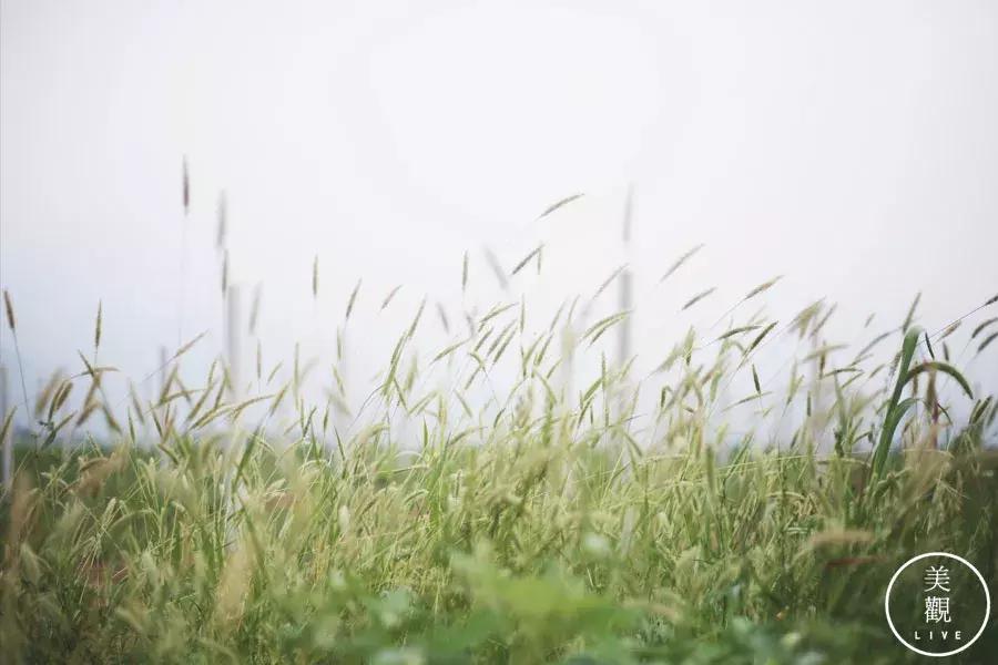 西安最时尚的地方不在小寨不在SKP,而在蓝田·普罗旺斯
