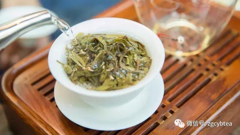 重磅：则道茶业创始人李伟，首度正面回应“曼松”商标维权事件