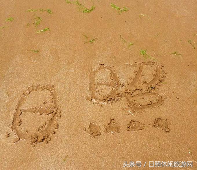 日照直播,日照房价