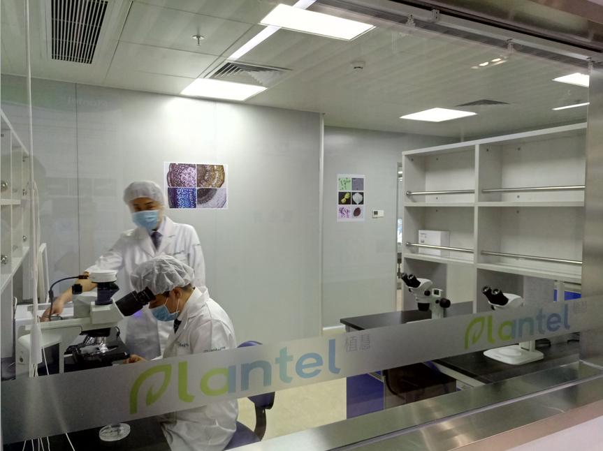 深圳市植慧植物干细胞研究院揭牌丨全球首个“植物干细胞银行（中国）”深圳正式运营
