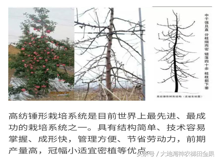 苹果新战略,苹果产业发展现状及解决对策