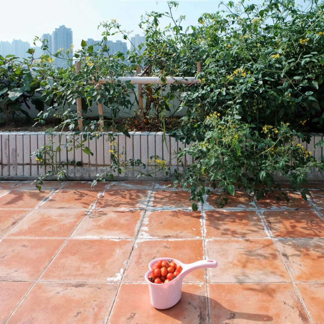 一件舒服的衣服带来的幸福感,一件普通衣服能穿出什么感觉