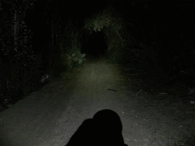 一射就是一大片，务本A214200流明直充强光手电实测