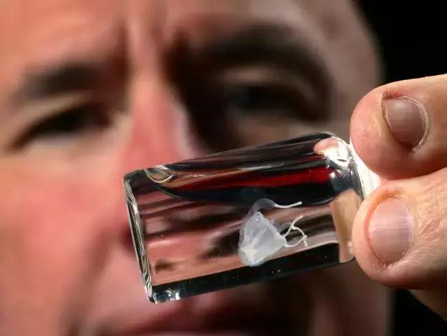 14级剧痛怪症的真相,却是指甲盖大小的透明幽灵