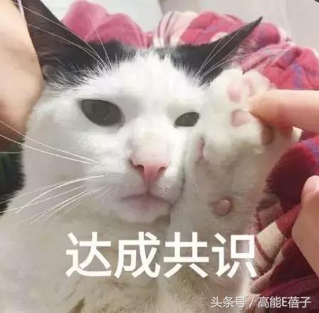 韩国门将化妆走红,韩国门将化妆了吗