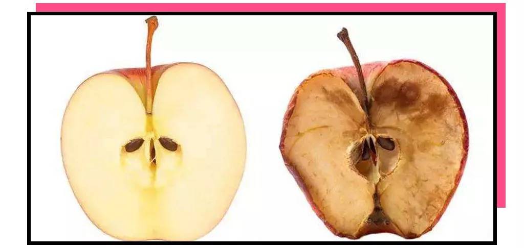 延缓衰老的葡萄籽,等你老了就知道身体比啥都重要