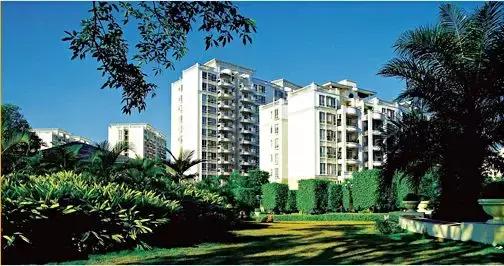 广州民营500强企业名单一览表,多家500强企业落户广州