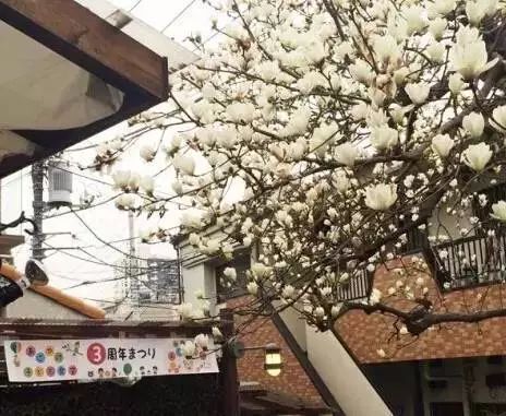 治愈10000个孤独的孩子，这家最便宜的日本餐厅，每月只开2天，却温暖了全世界