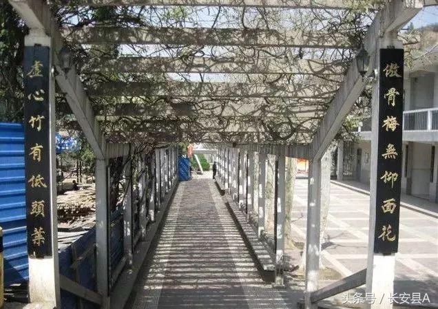 20年前的一中,20年前西安长安区