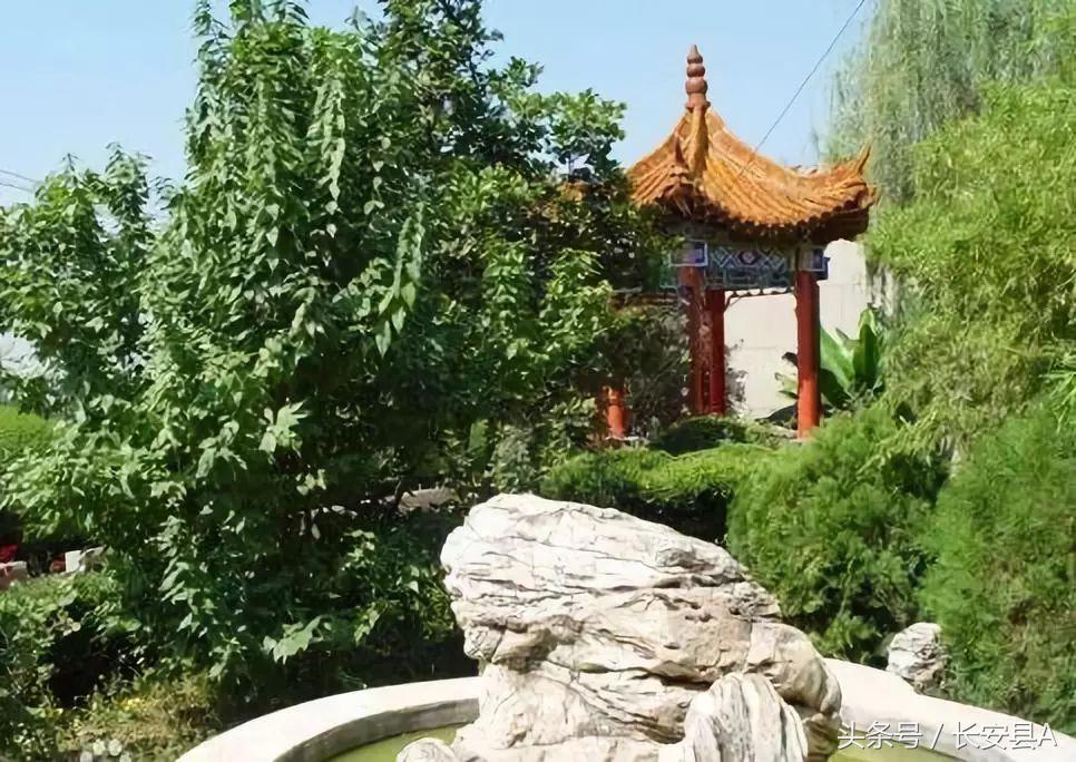 20年前的一中,20年前西安长安区