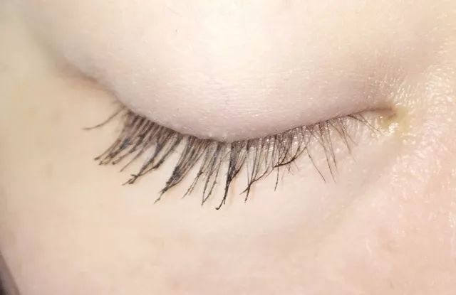 睫毛膏10大品牌推荐,平价卷翘睫毛膏测评